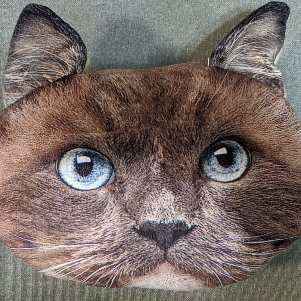 Urban Outfitters Cat Pillow Throw Decorative